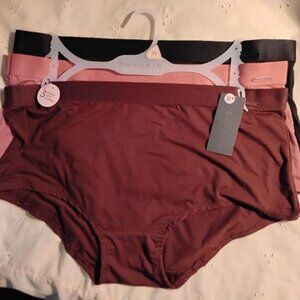 Danskin ~ super soft panties plus size ~ 2x